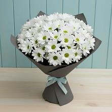 Букет цветов из:  Хризантемы #REPLACE_PRED# Нижнем Дженгутайе