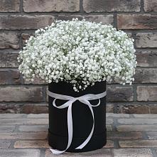 Цветочная композиция из Гипсофила в шляпной коробке в Нижнем Дженгутайе