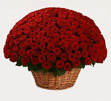 Премиум букет из: Розы в Нижнем Дженгутайе