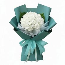 Букет цветов из:  Гортензия #REPLACE_PRED# Нижнем Дженгутайе